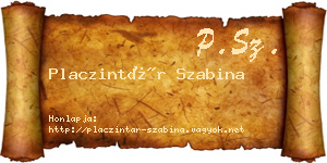 Placzintár Szabina névjegykártya